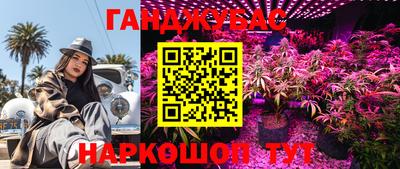 дурь Дубна